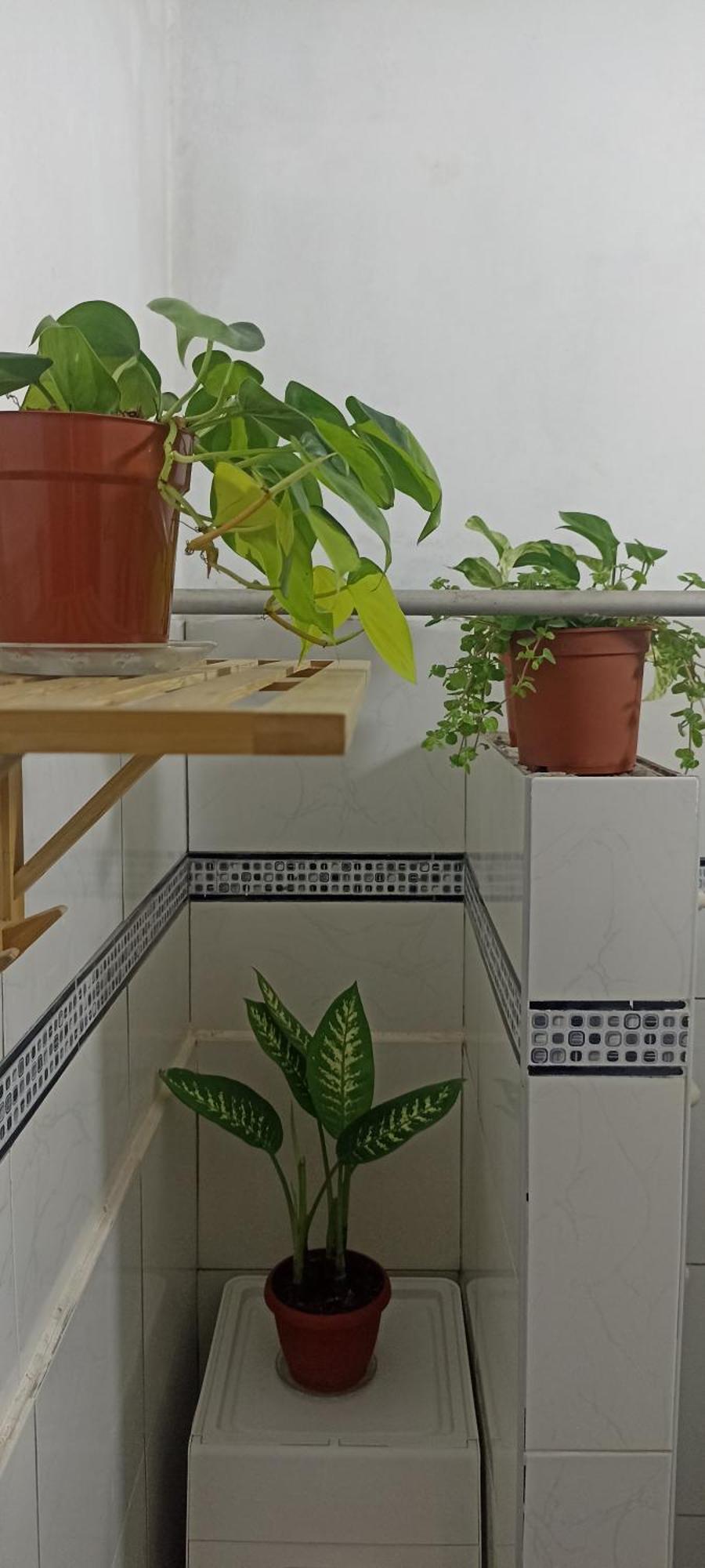 Casita Libertad Barranco Διαμέρισμα Λίμα Εξωτερικό φωτογραφία